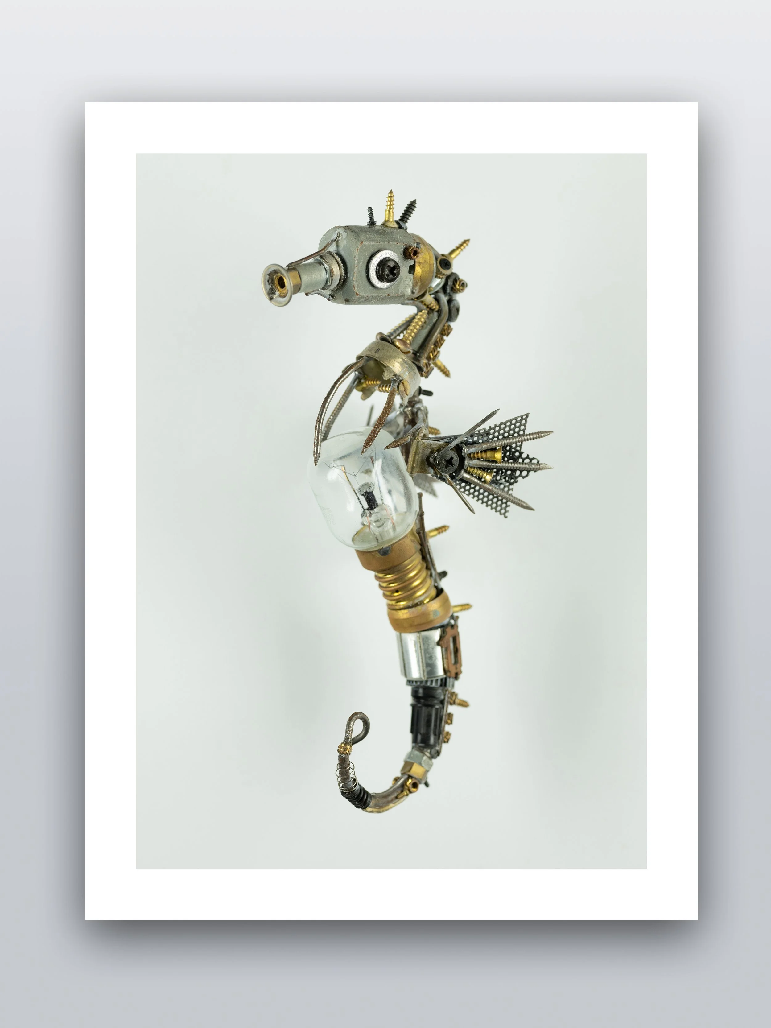 Seahorse+L+icon.jpg?format=1000w